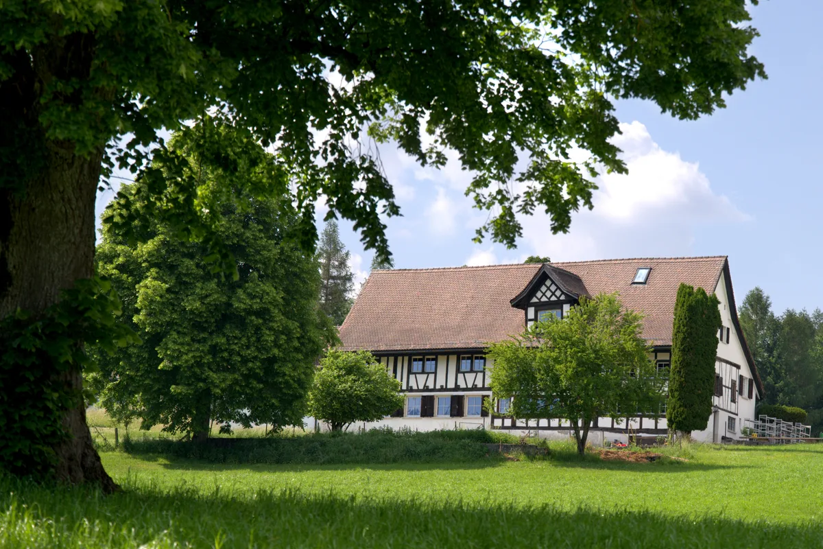 Lange lotterte das Gasthaus vor sich hin, bis ein Landwirtepaar darauf aufmerksam wurde. Vorne links steht ein grosser Baum, hinten ist der «Waldhof Guldenen» in Maur zu sehen.